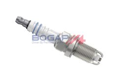 BOGAP A1514179 — Bujie