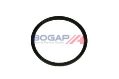 BOGAP A1711468 — Furtun intercooler
