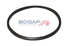 BOGAP A1711469 — Furtun intercooler