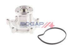 BOGAP C4234119 — Pompă de apă