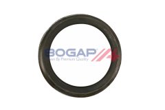 BOGAP E1367100 — Garnitură variator faze distribuție