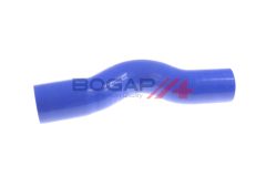 BOGAP F1711119 — Furtun intercooler