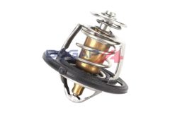 BOGAP H4245101 — Termostat lichid răcire
