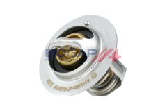 BOGAP H4245102 — Termostat lichid răcire
