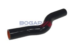 BOGAP Y4217118 — Furtun radiator