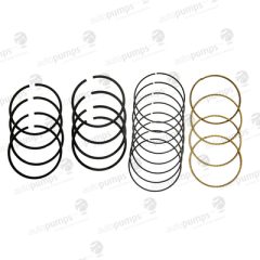 Autopumps UK A5097 — Set segmenți piston
