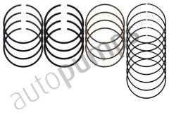 Autopumps UK A5291 — Set segmenți piston