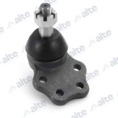 ALTE AUTOMOTIVE 79981AL — Pivot