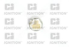 QUINTON HAZELL XBLS295 — Подрулевой переключатель круиз-контроля