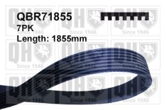 QUINTON HAZELL QBR71855 — Поликлиновой ремень