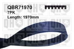 QUINTON HAZELL QBR71970 — Curea transmisie cu caneluri