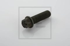PE Automotive 036.129-00A — Болт крепления тормозного диска