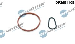 Dr.Motor Automotive DRM01169 — Set garnituri pompă vacuum