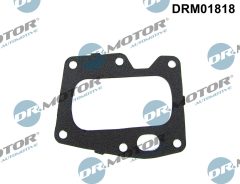 Dr.Motor Automotive DRM01818 — Garnitură pentru supapa EGR