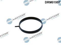 Dr.Motor Automotive DRM01957 — Garnitură clapetă accelerație