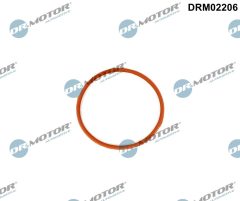 Dr.Motor Automotive DRM02206 — Прокладка дроссельной заслонки