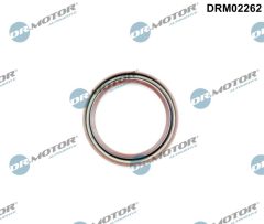 Dr.Motor Automotive DRM02262 — Сальник коленвала