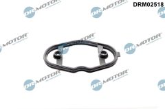 Dr.Motor Automotive DRM02518 — Garnitură pompă combustibil