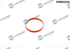 Dr.Motor Automotive DRM02520 — Прокладка дроссельной заслонки