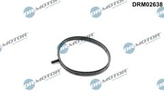 Dr.Motor Automotive DRM02638 — Прокладка дроссельной заслонки