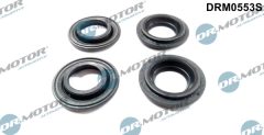 Dr.Motor Automotive DRM0553S — Garnitură corp injector
