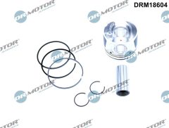 Dr.Motor Automotive DRM18604 — Piston motor