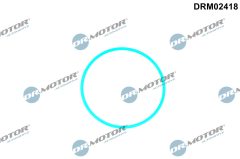 Dr.Motor Automotive DRM02418 — Garnitură pompă combustibil