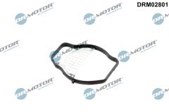 Dr.Motor Automotive DRM02801 — Garnitură clapetă accelerație
