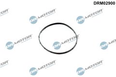 Dr.Motor Automotive DRM02900 — Прокладка вакуумного насоса