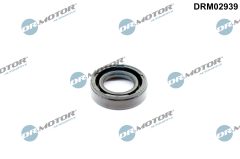 Dr.Motor Automotive DRM02939 — Simering ax casetă de direcție