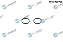Dr.Motor Automotive DRM03099S — Комплект уплотнений масляного насоса