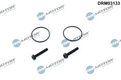Dr.Motor Automotive DRM03133 — Set reparație pompă cuplaj tracțiune integrală