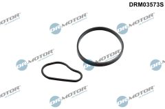 Dr.Motor Automotive DRM03573S — Set garnituri pompă vacuum