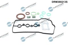 Dr.Motor Automotive DRM380213S — Set complet garnituri motor