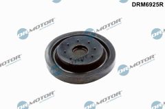 Dr.Motor Automotive DRM6925R — Set reparație ventilație carter