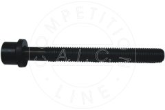 AIC 50900 — Șurub chiulasă