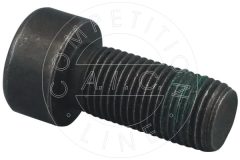 AIC 57365 — Болт крепёжный