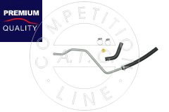 AIC 58670 — Furtun servodirecție