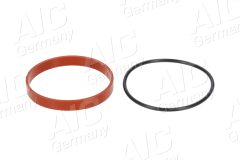 AIC 59387Set — Set de garnituri pentru EGR