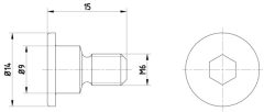 MINTEX TPM0001 — Șurub fixare disc de frână