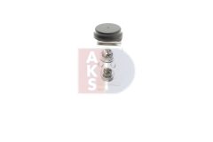 AKS DASIS 840287N — Supapă de expansiune aer condiționat