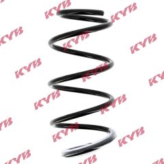 KYB RG1001 — Arc suspensie