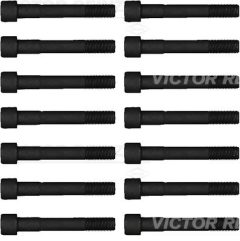 VICTOR REINZ 14-55065-01 — Комплект болтов ГБЦ