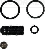 VICTOR REINZ 15-42119-01 — Set reparație injector pompă-duză
