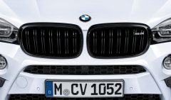 BMW 51712354498 — Grilă radiator