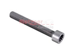 METZGER 0873058 — Șurub fixare injector