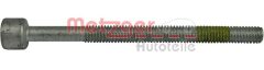 METZGER 0899046 — Болт крепления форсунки